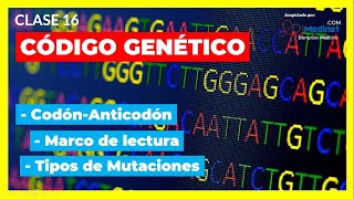 🟢 El CÓDIGO GENÉTICO Características y Desciframiento 🧬【Curso de Biología Molecular 2022】 [upl. by Yeldua]