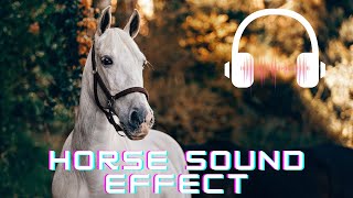 Horse sound effect  Horse neighing sounds Horse sounds  What sounds does a horse make [upl. by Coniah]