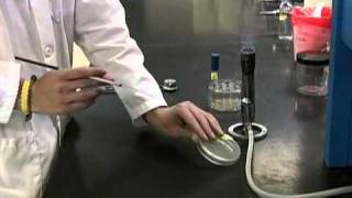 Nitrate Test Procedure [upl. by Oletha]