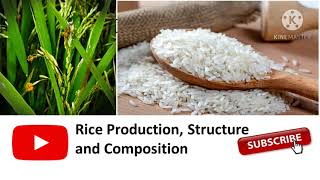 Rice Paddy Production  Rice Structure  Rice Composition  Food Technology Notes ICAR NET 2021 [upl. by Goldstein]