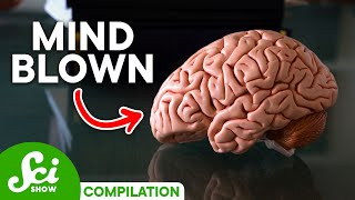 5 Brain Facts That Will Blow Your Mind [upl. by Cantone]