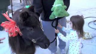 CHRISTMAS SURPRISE SANTA BROUGHT YOU A PONY  MINI HORSE [upl. by Ahsirat864]