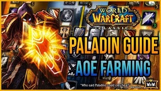 Paladin AOE Farming Build A Complete Guide For Going Against The Stigma  Classic WoW [upl. by Ahsitam]