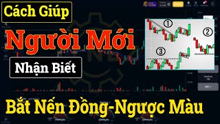 Trade Bo  Tuyệt Chiêu Giúp Người Mới Nhận Biết Trương Hợp Nên Hay Không Nên Bắt Đồng Màu [upl. by Irik54]