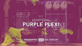 Lovepedal  Purple Plexi 2016 with Hermida Audio USA EPH3 [upl. by Berni]