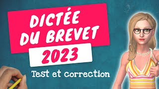 DICTÉE 3ème DU BREVET 2023  Réussirezvous un sansfaute [upl. by Anihcak]