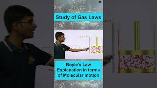 Study of Gas Laws Boyles law Class 9 ICSE Chemistry shorts [upl. by Ahsenom446]