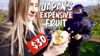 Why Japanese Fruit is SO Expensive 🍎 [upl. by Dickson]