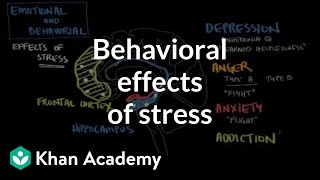 Behavioral effects of stress  Processing the Environment  MCAT  Khan Academy [upl. by Otrebire]