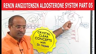 Renin Angiotensin Aldosterone System  RAAS Part 5👨‍⚕️ [upl. by Doe]