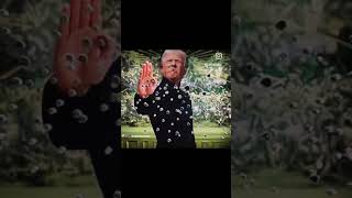 Trump in the matrix [upl. by Hcahsem]