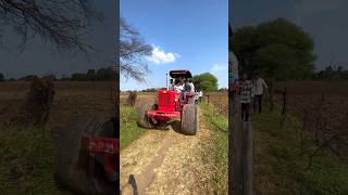 Bahadur Ghode Par Rohit Deshwal 😍💪🏻🔥dailyvlog minivlog viralvideo farming trector shorts [upl. by Sonstrom]