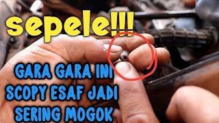 scoopy empuk jeru sering mati matianalias mogak mogok marai kaku ati [upl. by Oel]