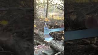 Svord Von Tempsky Hawk Chopping blade axe tomahawk shorts bushcraft [upl. by Eruza446]