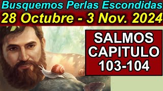 Busquemos PERLAS ESCONDIDAS de esta semana 28 Octubre3 de Noviembre 2024 Comentarios [upl. by Vance]