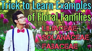 Amazing Tricks to Learn Examples of Families Solanaceae Liliaceae amp Fabaceae  NCERT Mnemonics [upl. by Sivrad]