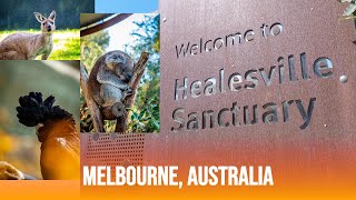 Healesville Sanctuary Melbourne Australia [upl. by Barbe163]