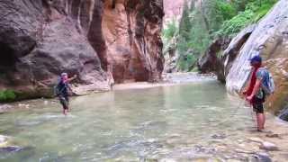 Mystery Canyon Zion Full Adventure [upl. by Idonah]