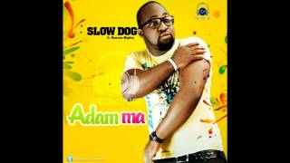 Slowdog  Adamma Ft Duncan Mighty [upl. by Gnilrad503]