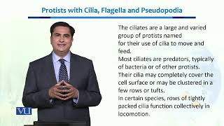 Protists with cilia Flagella amp pseudopodia  Ecology Biodiversity amp EvolutionII  BT201Topic025 [upl. by Argyle889]