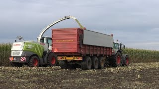 Shredlage mais hakselen door loonbedrijf JB ter Steege met Claas Jaguar 960  deel 1 2017 [upl. by Anatole]