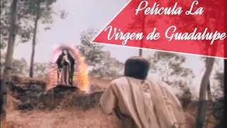 Película quotLa Virgen de Guadalupequot Narra la Historia de las Apariciones de la Virgen de Guadalupe [upl. by Anaili]