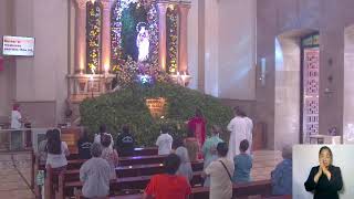 Mt Carmel Shrine Live Stream  Liturgical Services [upl. by Southard]