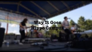 Hippo Campus Way It Goes new song  HazelFest [upl. by Welcher172]