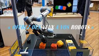 VISION 3D robotique par MECACONCEPT Intégrateur en vision industrielle en Auvergne Rhone Alpes [upl. by Ishmael]