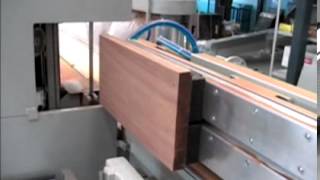 MZ Project  PADE  Band saw LINER cutting palissander wood lamellas [upl. by Enilreug]