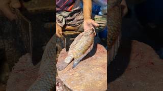 Unique Aesthetic Popular Big Tilapia Fish Cutting Skills In Expert Cutter 😱😱 shorts [upl. by Wack]