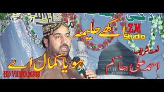 Aakhy Haleema Hoya Kamal Ay  Ahmad Ali Hakim 2018  New Naat 2018 By ZM Studio [upl. by Nemhauser313]