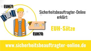 EUHSätze  Die Erklärung für Sicherheitsbeauftragte  Definition [upl. by Htebizile]