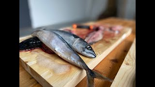 Sløye og filetere fisk [upl. by Giralda50]