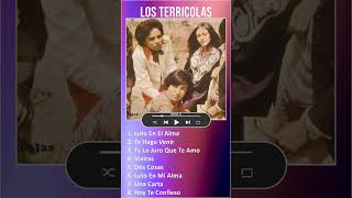 Los Terricolas MIX Grandes Exitos shorts  1970s Music  Top Latin Pop Rock en Español Latin [upl. by Yttap]