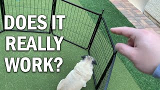 FXW Rollick Dog Playpen Review  Does It Really Work [upl. by Ykceb187]