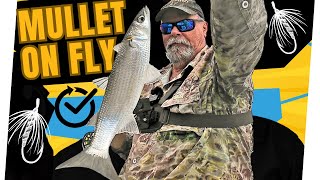 You Wont Believe How EASY It Is To Catch Mullet and Garfish On Fly [upl. by Dagnah236]