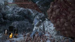 Dark Souls lll Ashes of Ariandel  Large Fly Combat amp Shriving Stone Location Undo Weapon Infusion [upl. by Marka695]