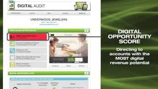 New Digital Audit from AdMall PRO [upl. by Citarella]