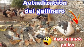 🥵Mucho trabajo en el gallinero lo inesperado❗️ AlinaAlbarrán [upl. by Teews]