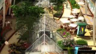 Royal Caribbean  Oasis of the Seas Ship Tour  Iglu Cruise [upl. by Ahsenyl]