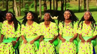 New Afan oromo music 2015 Dammitu Gabbitaa dhiigni keenya tokko [upl. by Akkin]