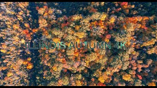 Autumn 4K Autumn In Illinois [upl. by Kryska]