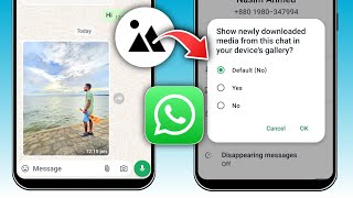 Cum să opriți salvarea WhatsApp a fotografiilor în Galerie Actualizat 2024 [upl. by Neelear766]