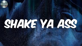 Shake Ya Ass Lyrics  Mystikal [upl. by Uriia]