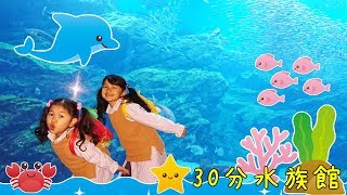 閉館30分前！超弾丸ツアーで水族館をまわる！！仙台うみの杜水族館☆himawariCH [upl. by Aneekat]