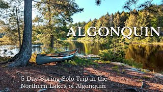 Spring Adventure 5 Days Solo Canoeing the Remote Northern Lakes of Algonquin Park [upl. by Kennith]