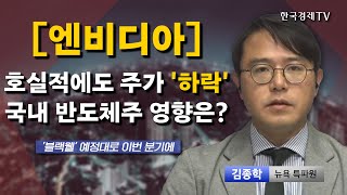 엔비디아 호실적에도 주가 하락 국내 반도체주 영향은 I 김종학 I 엔비디아 I 블랙웰 I 인공지능 I [upl. by Notlrac]