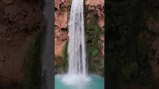 Havasu Falls ❤️ Grand Canyon grandcanyon havasupai short [upl. by Carling121]