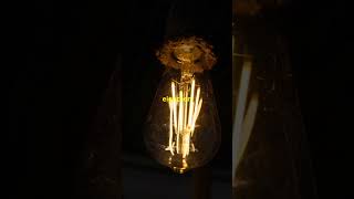 Edison Didnt Invent the Lightbulb science didyouknow sciencefacts shorts thomasedison [upl. by Reifel]